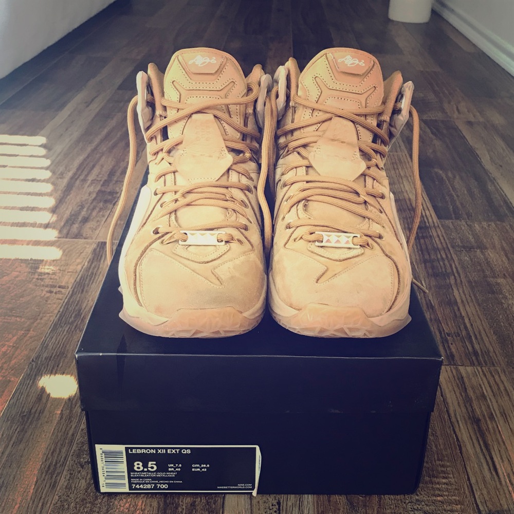 Nike Lebron XII EXT QS